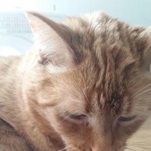 Meet your Posher, Mae